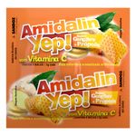 amidalin-yep-gengibre-com-5-pastilhas-principal
