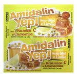 amidalin-yep-mel-limao-com-5-pastilhas-principal