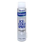 salonpas-ice-cold-spray-120ml-principal