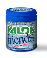 pastilha-valda-friends-sem-acucar-50g-secundaria