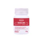 hidratante-geleia-de-vaselina-vasemax-70g-principal