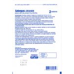 salonpas-emplastro-grande-com-2-unidades-secundaria1