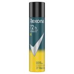 desodorante-rexona-v8-72h-aerosol-110ml-principal