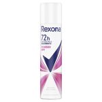 desodorante-rexona-powder-dry-72h-aerosol-110ml-principal