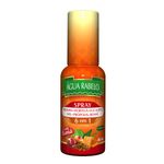 spray-agua-rabelo-6-em-1-com-roma-45ml-principal