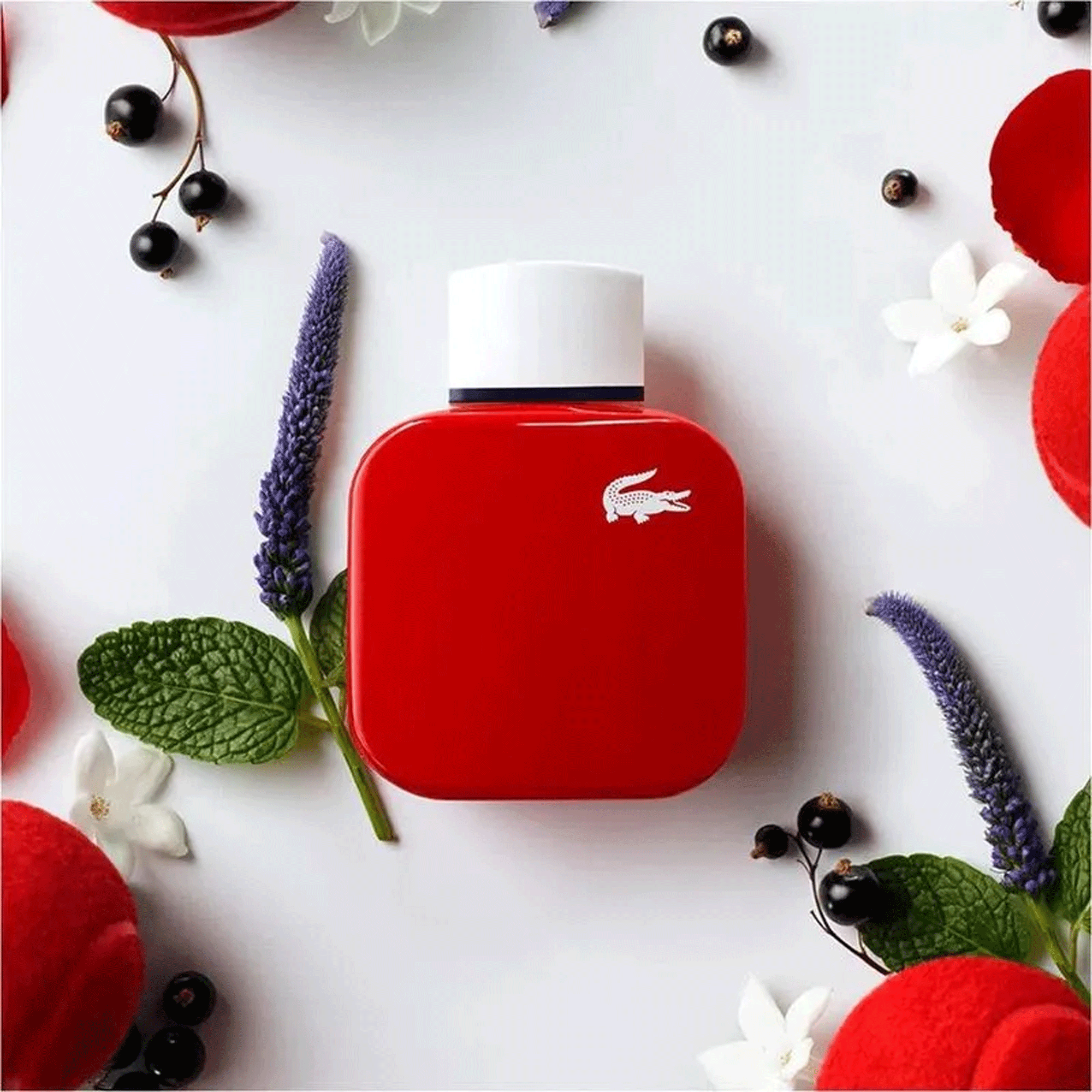 Eau de sale lacoste femme 90ml