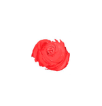 Milani Amore Matte Lip Creme Craze 13 - Batom Líquido