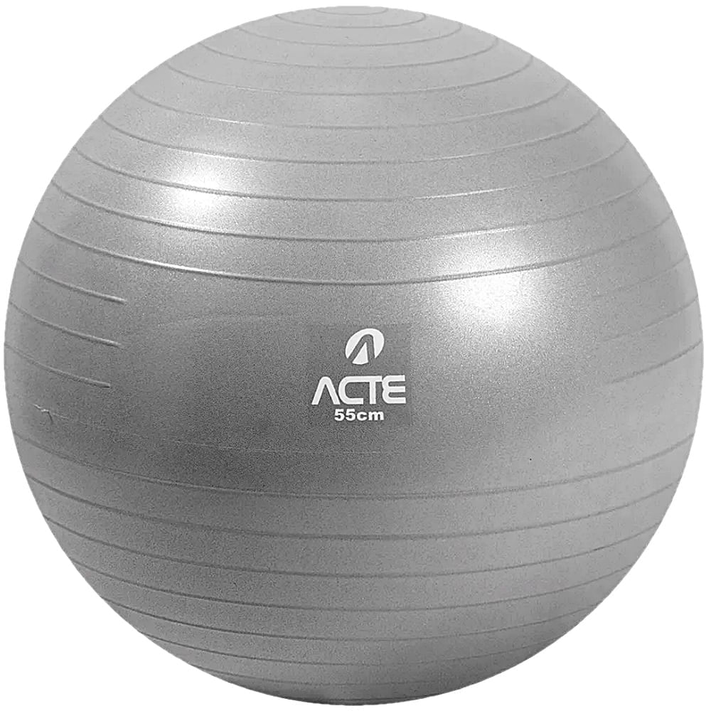 Bola Para Pilates Gym Ball Anti Estouro 65cm Prata