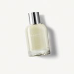 Weekend For Men Burberry Eau de Toilette Masculino-100 ml