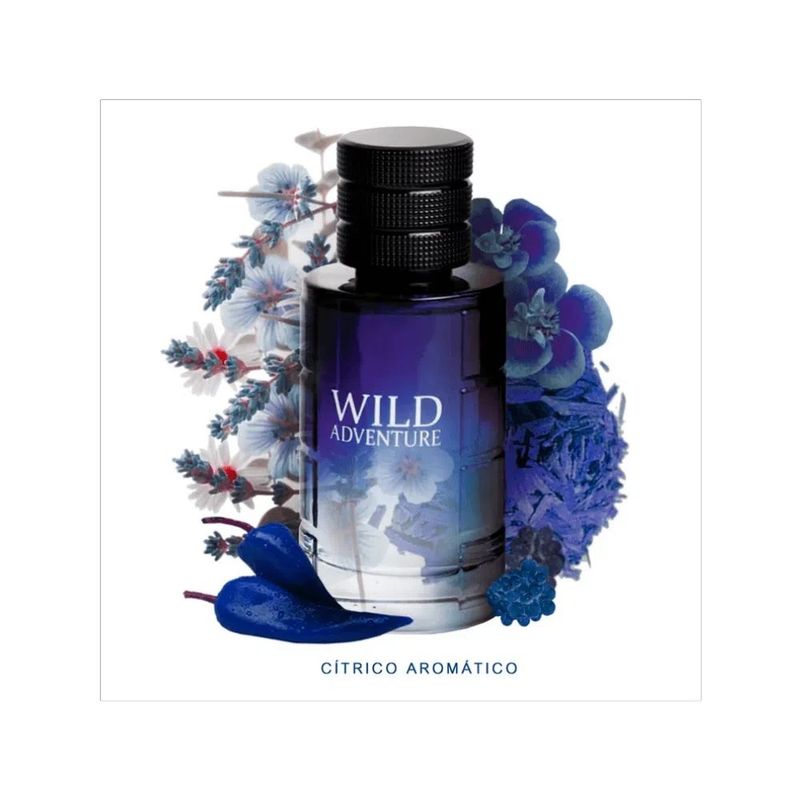 Wild Adventure- Linn Young Eau de Toilette Masculino-30 ml