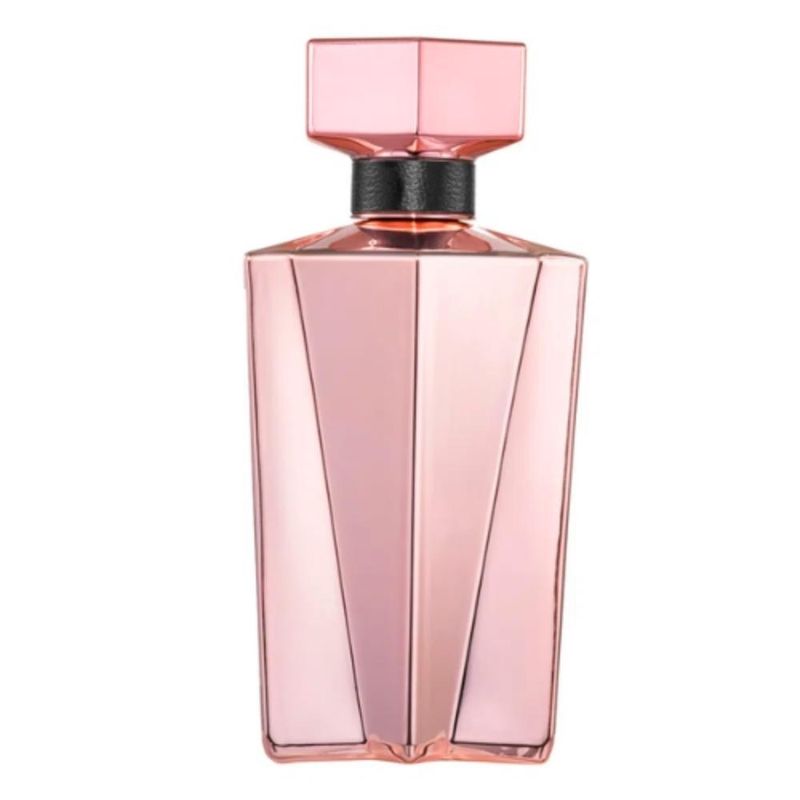 Animale Seduction Femme Eau de Parfum Feminino 100 ml