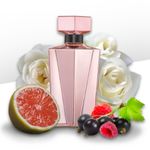 Animale Seduction Femme Eau de Parfum Feminino 100 ml