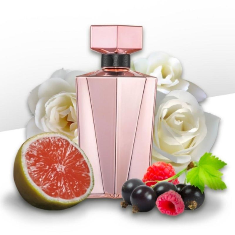 Animale Seduction Femme Eau de Parfum Feminino 100 ml