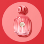 Antonio Banderas The Icon Splendid Eau De Parfum - Perfume Feminino 100ml