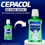 secundaria-2