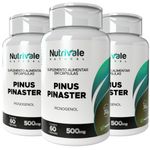 KIT 3X Pinus Pinaster 60 cápsulas - Nutrivale
