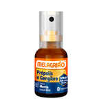 23549-0---MELAGRIAO-SPRAY-MENTA-30ML-1000x1000