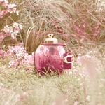 Coach Wild Rose Eau de Parfum - Perfume Feminino - 30ml