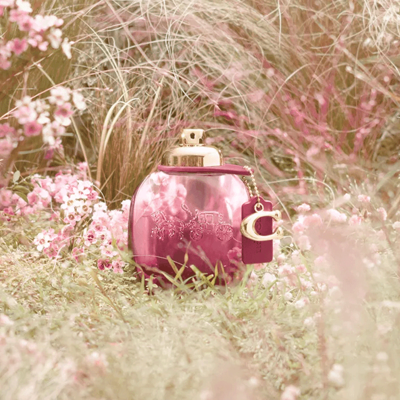 Coach Wild Rose Eau de Parfum - Perfume Feminino - 30ml