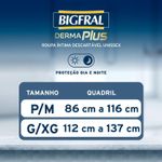 bigfral6
