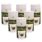 6x Própolis Verde 500mg - Propocaps - 120cps - Bellabelha