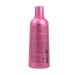 Richée Professional Nano Care New Design Shampoo 500ml